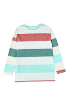 Plus Size Colorblock Pullover Top